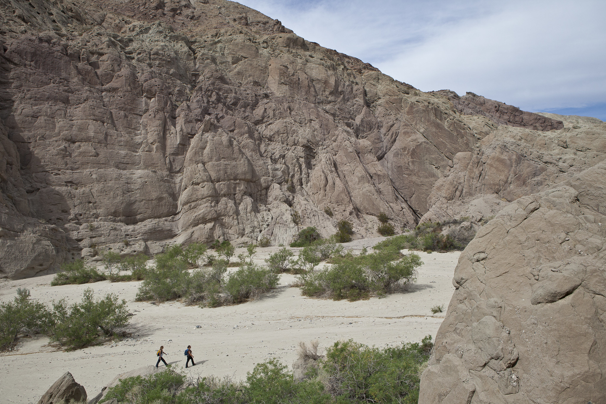 Two hikers in the Mecca Hills Wilderness, on a sandy trail with short bushes between two rocky hills